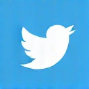 Icona Twitter